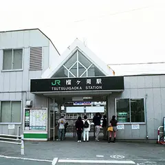 榴ヶ岡駅