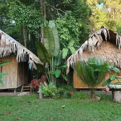 Mama bungalow by karen