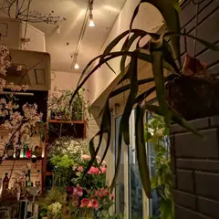 & Green Flash Bar Flower(アンドグリーンフラッシュバーフラワー)