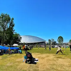芝庭