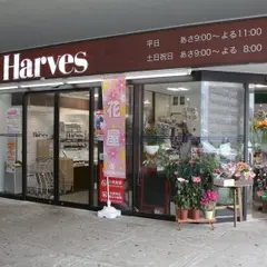ハーベス東生駒店