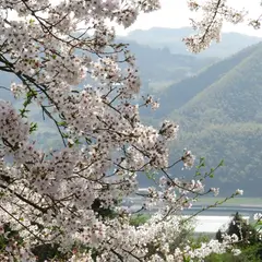 みかんの里展望公園