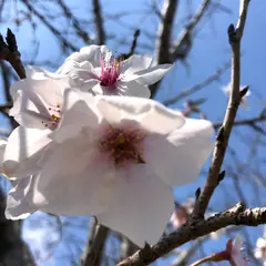 三納代広場