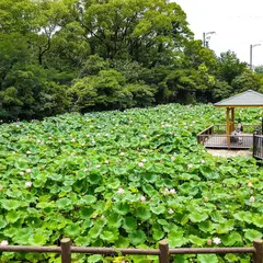 星名池 駐車場