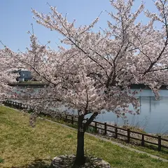 郷前公園