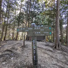道樹山