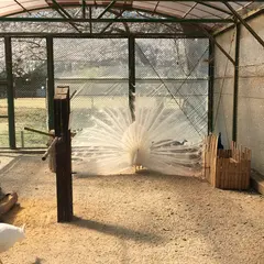 ふれあい牧場