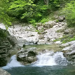 面河渓