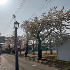 南宮城野公園