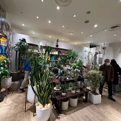 SHEL'TTER GREEN みなとみらい東急スクエア店