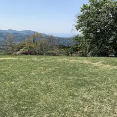 黒沢牧場 ドッグラン