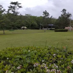 蚊口海浜公園