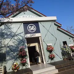 56design