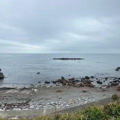 ニワの浜