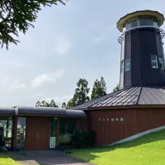 杉沢の沢スギ