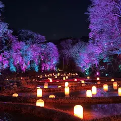 チームラボ 幽谷隠田跡