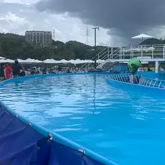 ウォーターガーデン