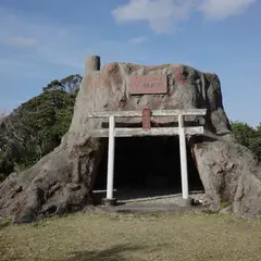ウィルソン株レプリカ