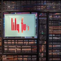 Lily Fu's