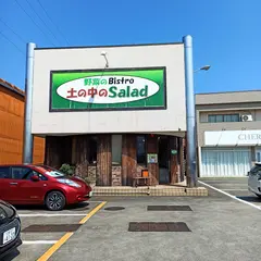 土の中のSalad