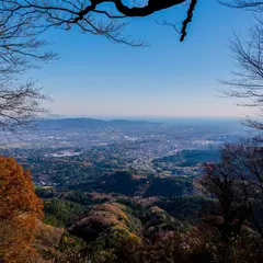 県立２１世紀の森