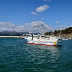 野田漁港