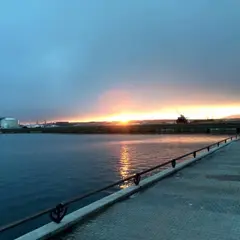 八太郎3号ふ頭緑地