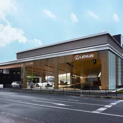 レクサス 福岡西