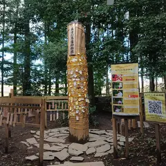 下野 星宮神社
