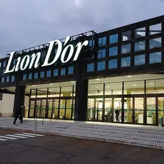 リオン･ドール 十日町店