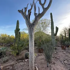 Desert Botanical Garden: Corporate Event and Group Sales