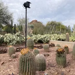 砂漠植物園.