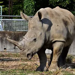 東武動物公園