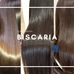 Color salon Biscaria