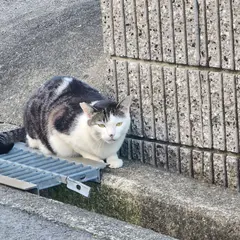 野畑東公園