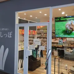 うさぎのしっぽ 幕張新都心店