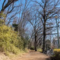 武蔵台遺跡公園