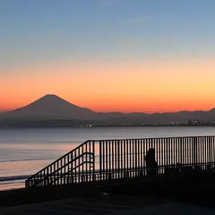 クラゲ広場