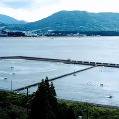 浜崎クルマエビセンター
