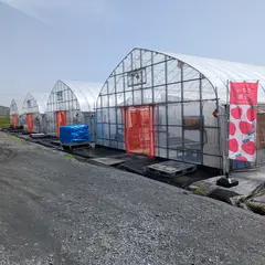 いちご王国竜王