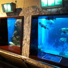 おさかな館