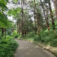 南台こどものもり公園