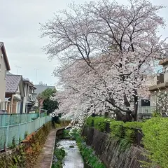 相沢川ウォーク