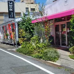 リエルプラス