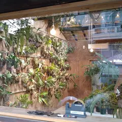 vandaka plants KYOTO SHOWROOM