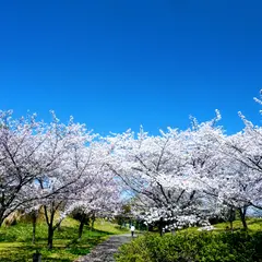 大高緑地