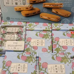 Frau Atsuko Kayashina