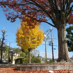 見徳山公園