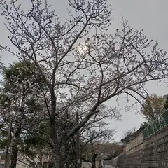 豊中市立北丘小学校