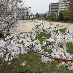 熊野田公園